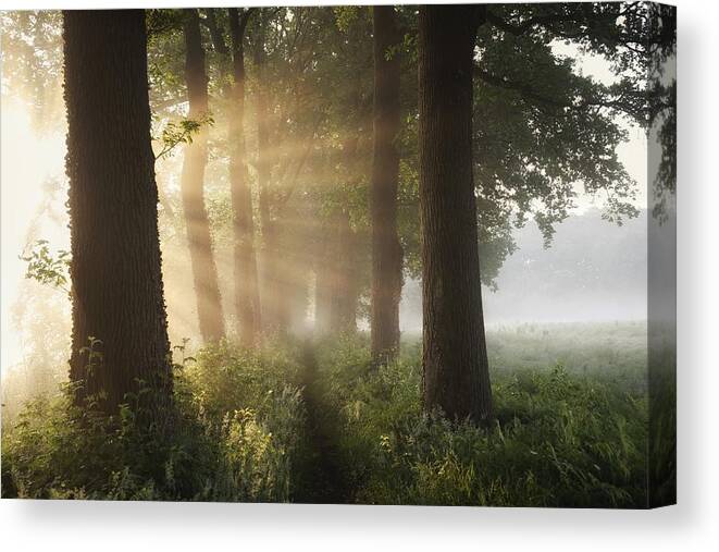 Landscape Canvas Print featuring the photograph First Day Of Summer by Vincent Croce