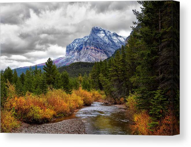 Montana Canvas Print featuring the photograph First Dusting of Snow by Mary Jo Allen