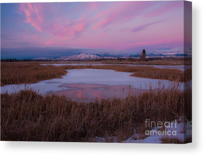 Lee Metcalf Canvas Print featuring the photograph First Evening 2013 by Katie LaSalle-Lowery