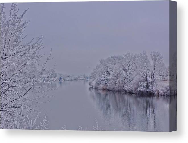 Frost Canvas Print featuring the photograph First frost by Lynn Hopwood