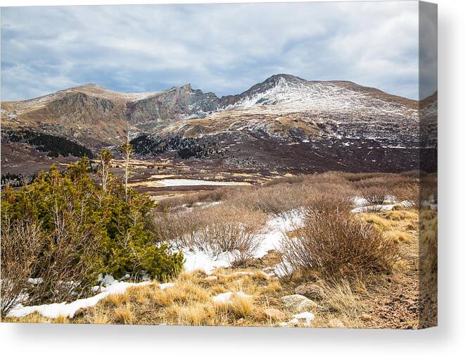 Guanella Canvas Print featuring the photograph First Snow at Treeline by Adam Pender