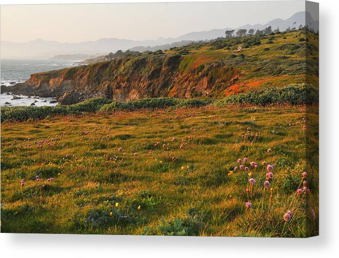Fiscalini Ranch Canvas Print featuring the photograph Fiscalini Ranch by Lynn Bauer