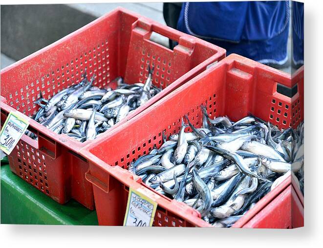 Fish Canvas Print featuring the photograph Fish In the Market by Walter Bisoffi