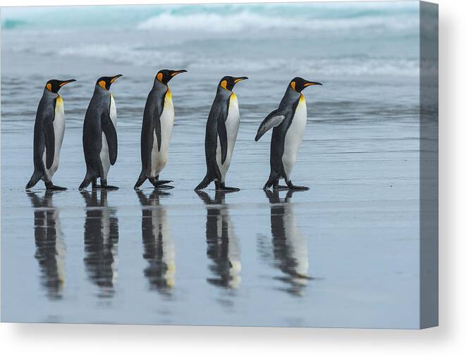 Group Canvas Print featuring the photograph Five Online by Miquel Angel Art??s