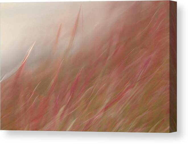 Abstracts Canvas Print featuring the photograph Flames Rising by Marilyn Cornwell