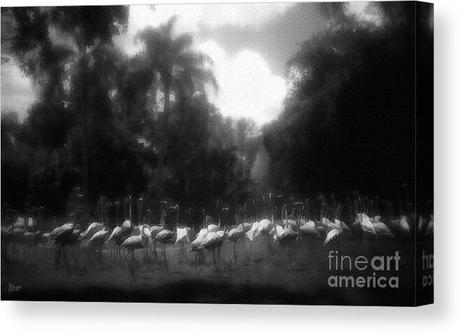 Flamingos Canvas Print featuring the photograph Flamingos in Black and White by Jeff Breiman