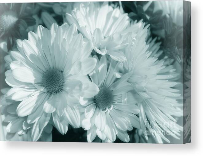 Living Room Decor Canvas Print featuring the photograph Floral Serendipity by Cathy Beharriell