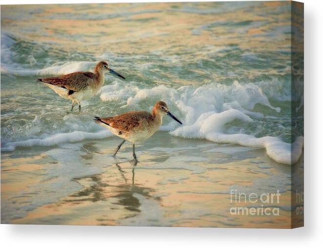 Florida Canvas Print featuring the photograph Florida Sandpiper Dawn by Henry Kowalski