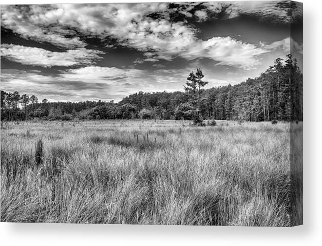 Florida Canvas Print featuring the photograph Florida SawGrass Prairie  by George Buxbaum