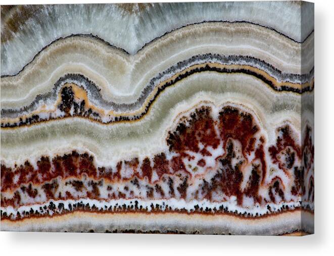 Mineral Canvas Print featuring the photograph Flower Onyx, Close-up Of Pattern by Darrell Gulin