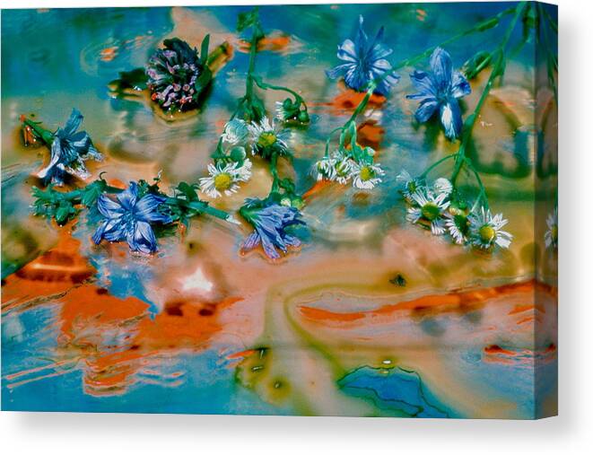  Canvas Print featuring the photograph Flower Spill by David Flitman