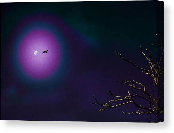 Night Canvas Print featuring the photograph Flying to the moon by Daniel Martin