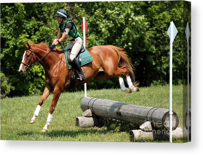 Horse Canvas Print featuring the photograph Flying Chestnut by Janice Byer