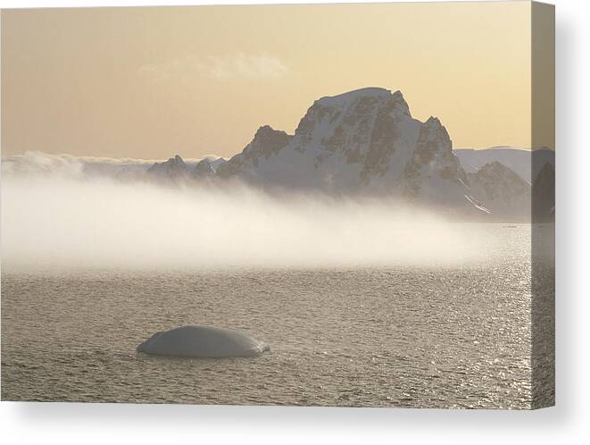 Feb0514 Canvas Print featuring the photograph Fog Bank And Icy Mountains Gerlache by Tui De Roy