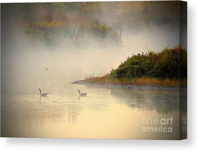 Canada Geese Canvas Print featuring the photograph Foggy Autumn Swim by Elizabeth Winter