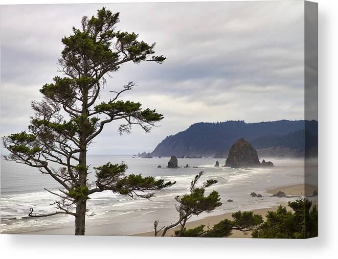 Haystack Rock Canvas Print featuring the photograph Foggy Morning at Tolovana Beach Oregon by David Gn
