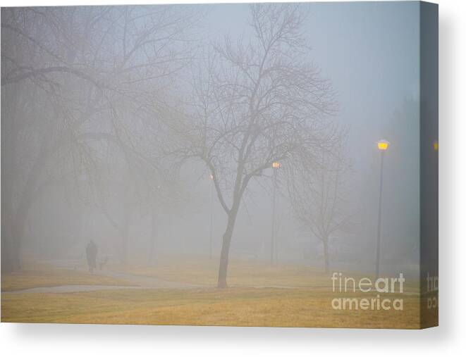 Fog Canvas Print featuring the photograph Foggy Park Morning by James BO Insogna