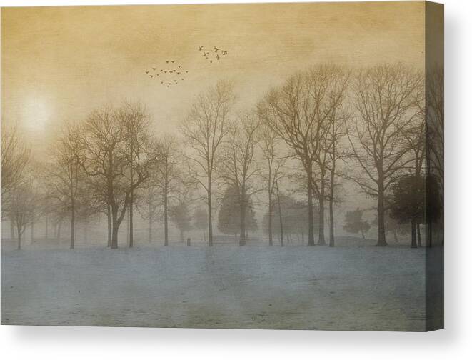 Fog Canvas Print featuring the photograph Foggy Sunset by Cathy Kovarik