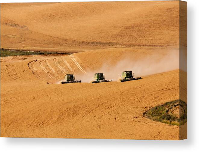 Harvest Canvas Print featuring the photograph Follow The Leader by Mary Jo Allen