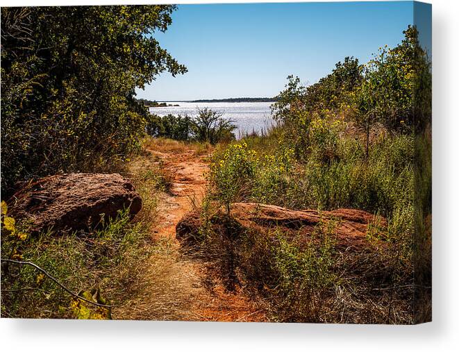 Green Canvas Print featuring the photograph Follow The Path by Doug Long