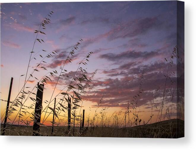 Photo Was Taken July 25 Canvas Print featuring the photograph Folsom Sunset by Lee Harland