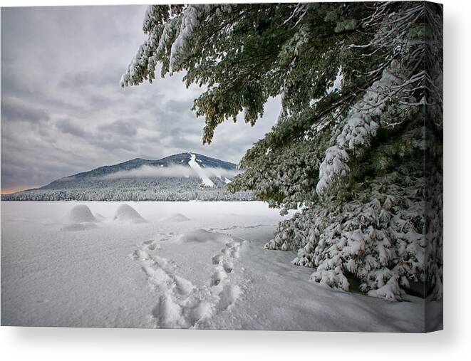 Winter Canvas Print featuring the photograph Footsteps to the Mountain by Darylann Leonard Photography