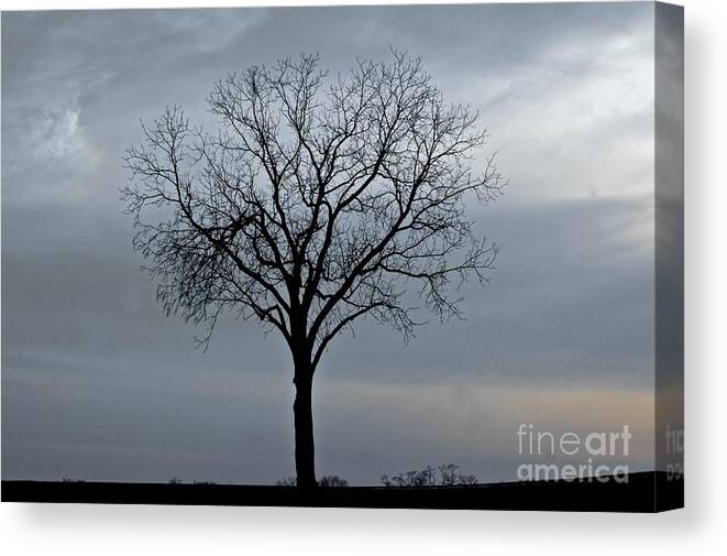 Landscape Canvas Print featuring the photograph Forbearing by Tracy Rice Frame Of Mind