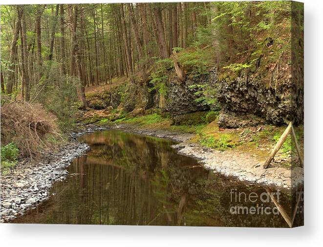 Woods Canvas Print featuring the photograph Forest Refletions In Raymondskill by Adam Jewell