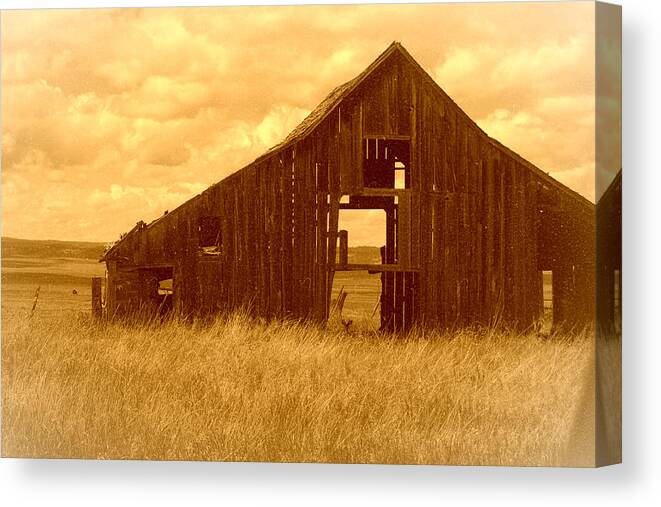 Oregon Canvas Print featuring the photograph Forgotten by Terry Holliday