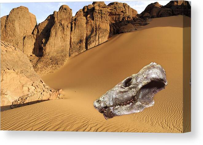 Probelesodon Lewisi Canvas Print featuring the photograph Fossilised Skull Of A Mammal-like Reptile by Sinclair Stammers/science Photo Library