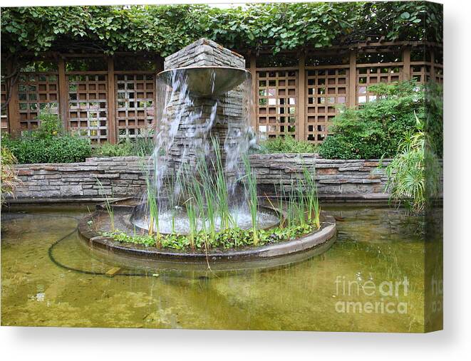 Santa Rosa Canvas Print featuring the photograph Fountain At The Historic Luther Burbank Home and Gardens Santa Rosa California 5D25913 by Wingsdomain Art and Photography
