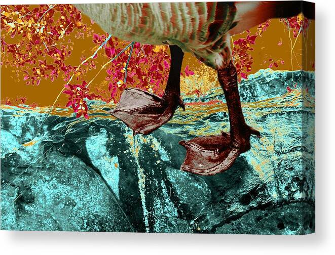 Goose Feet Canvas Print featuring the photograph Fowl Weather Friend by Laureen Murtha Menzl