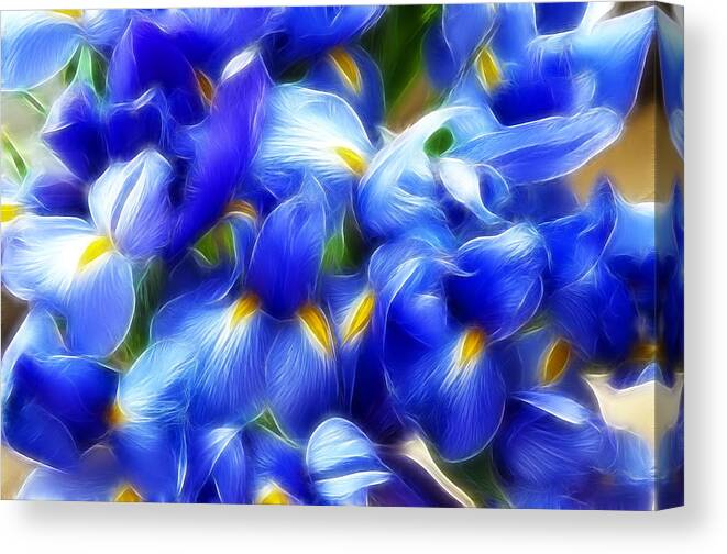 Flowers Canvas Print featuring the photograph Fractal Iris by Cathy Kovarik