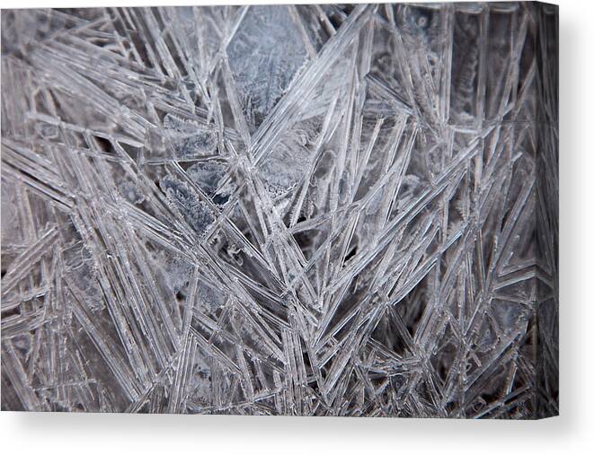Ice Canvas Print featuring the digital art Frozen Fractal by Leeon Photo