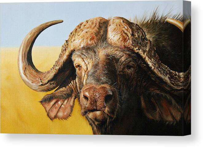 Print Gallery Wrap Canvas Metal Print African Buffalo Water African Animal Photography Wall Decor Home Wall issho-ueno.com