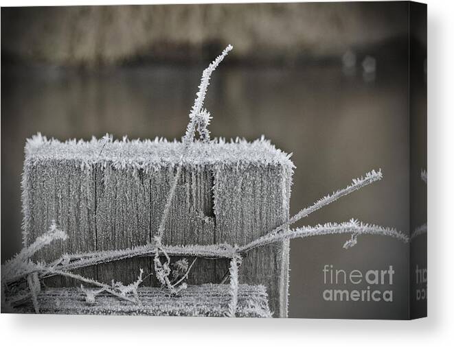 Brackley Canvas Print featuring the photograph Frosty Start by Jeremy Hayden