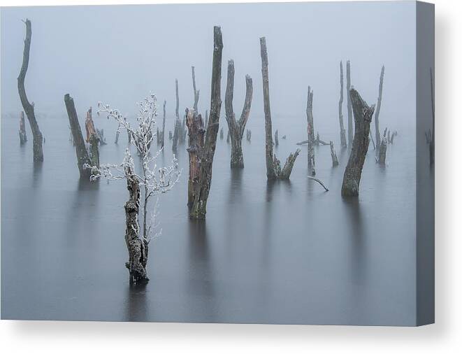 Landscape Canvas Print featuring the photograph Frozen And Foggy World ........ by Piet Haaksma