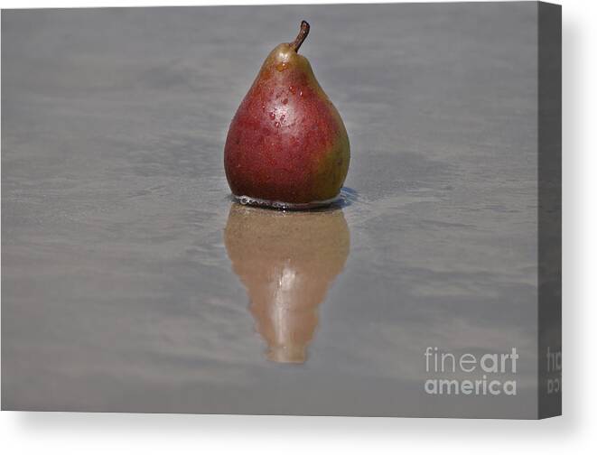Fruit Photography Canvas Print featuring the photograph Fruitscapes Pears by Josephine Cohn