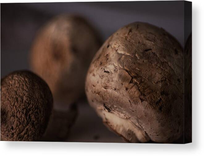 Kitchen Decor Canvas Print featuring the photograph Fungi In Color by Eugene Campbell