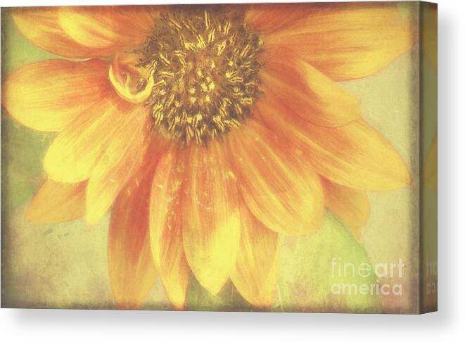 Flower Canvas Print featuring the photograph Garden Sunshine by Peggy Hughes