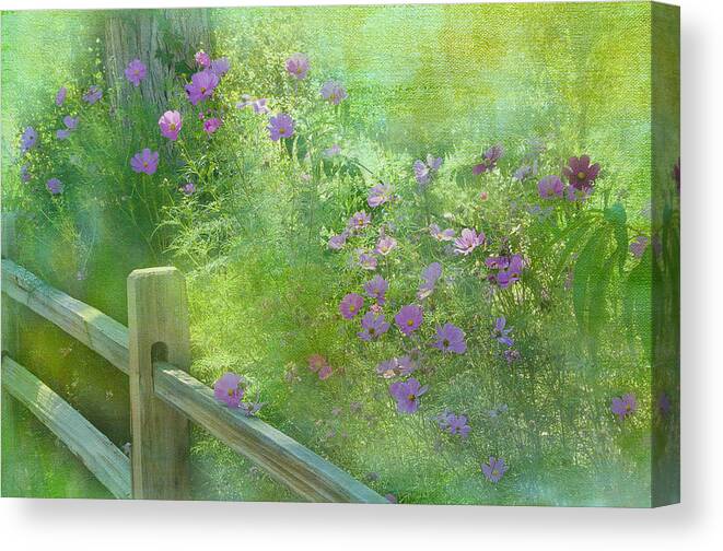 Prints For Sale Canvas Print featuring the photograph Garden variety by Carolyn D'Alessandro