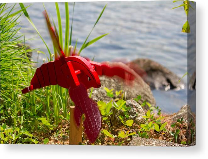 Lobster Canvas Print featuring the photograph Garden Variety Lobster by Kirkodd Photography Of New England