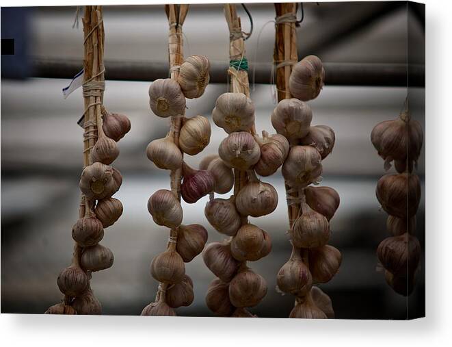 Garlic Canvas Print featuring the photograph Garlic by Prince Andre Faubert