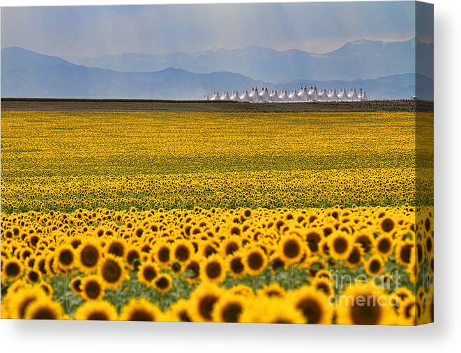 Flowers Canvas Print featuring the photograph Gateway to the Rockies by Jim Garrison