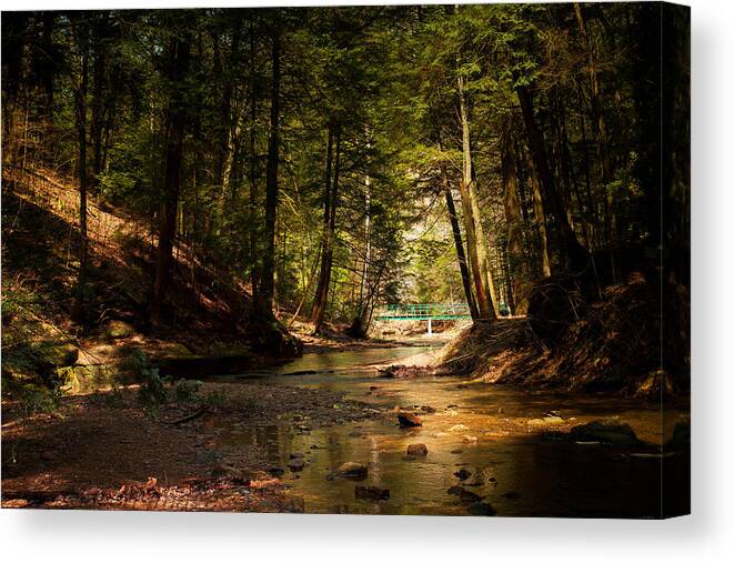 Stream Canvas Print featuring the photograph Gathering at the stream by Haren Images- Kriss Haren