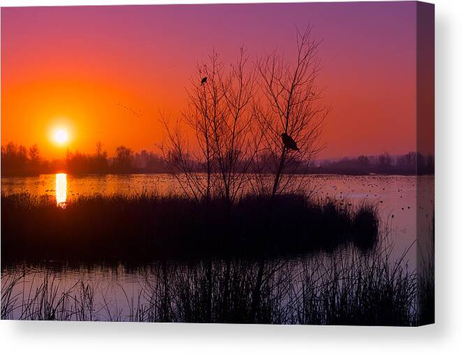 Dawn Canvas Print featuring the photograph Geese Flying at Dawn by Kathleen Bishop