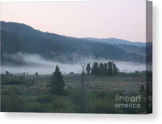 Morning Canvas Print featuring the photograph Gentle Morning by Robin Pedrero