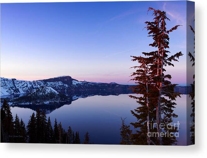 Crater Lake Canvas Print featuring the photograph Getting High on Nature by Beve Brown-Clark Photography