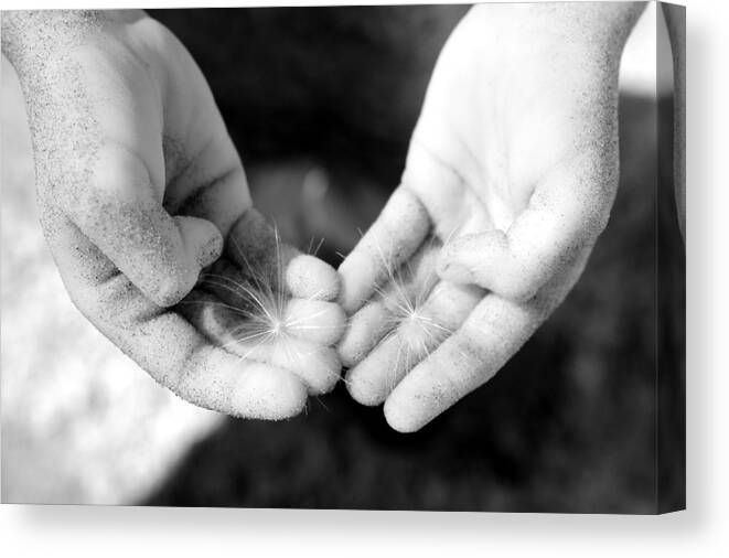 Hands Canvas Print featuring the photograph Giving Hands by Rebecca Parker