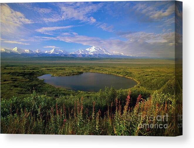 00340579 Canvas Print featuring the photograph Glacial Kettle Pond And Denali by Yva Momatiuk John Eastcott